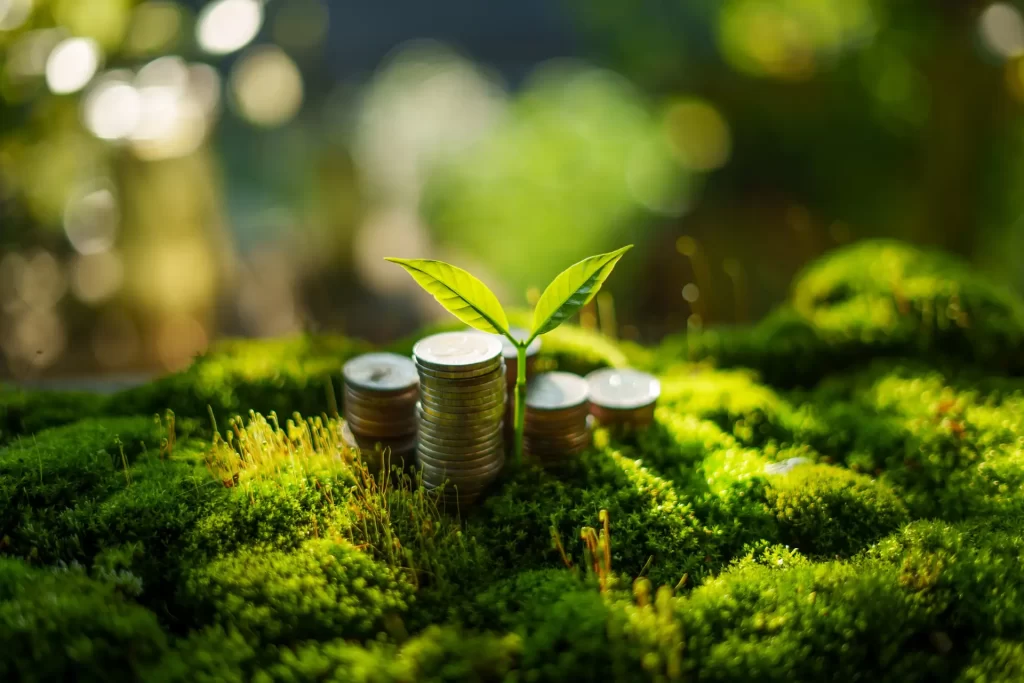 money and growth and environment concept, money pile on green moss with evening light in nature